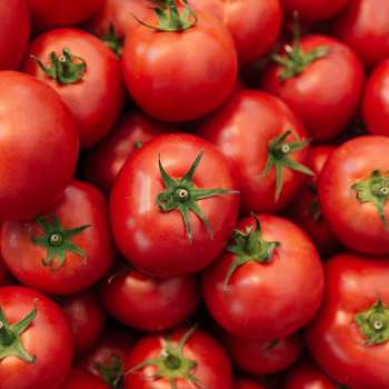 Tomatoes